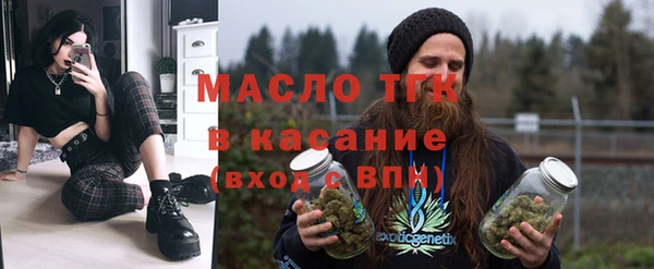 гашик Алексеевка