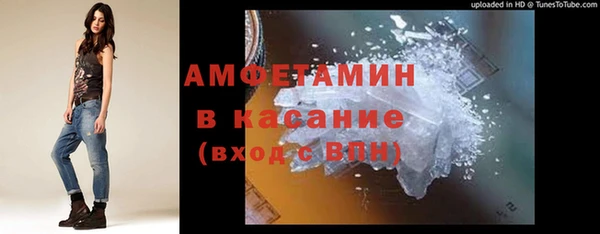 гашик Алексеевка