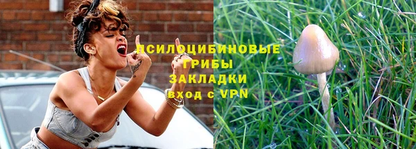 apvp Алексин