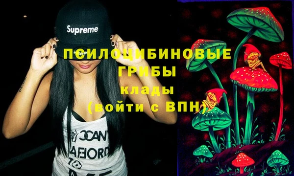 гашик Алексеевка