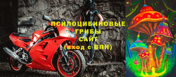 apvp Алексин