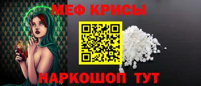 крисы Славгород