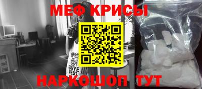 крисы Славгород