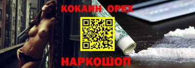 крисы Славгород