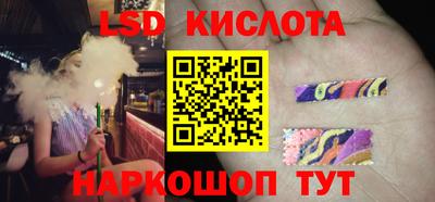 крисы Славгород