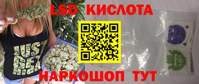трава Сланцы