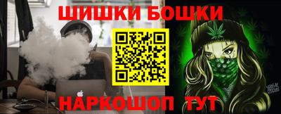 крисы Славгород
