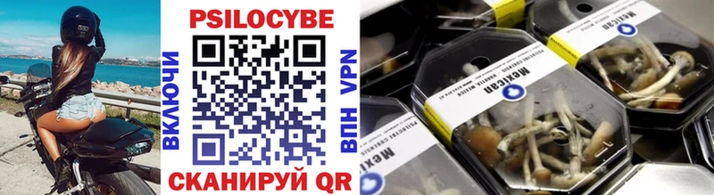 Псилоцибиновые грибы GOLDEN TEACHER  OMG онион  Петрозаводск 