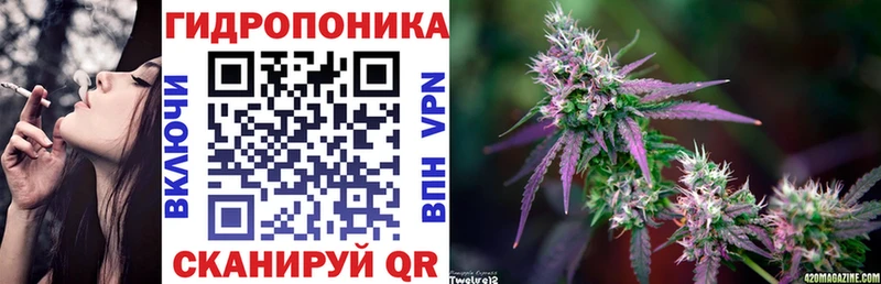 что такое наркотик  блэк спрут ССЫЛКА  Бошки Шишки конопля  Петрозаводск 